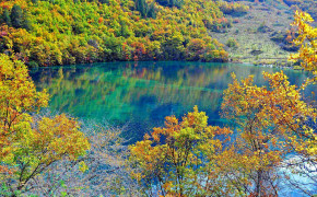 Crystalline Turquoise Lake Jiuzhaigou National Park China Background Wallpaper 27179