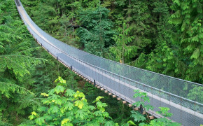 Capilano Suspension Bridge Vancouver British Columbia HD Desktop Wallpaper 27160