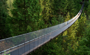 Capilano Suspension Bridge Vancouver British Columbia High Definition Wallpaper 27161