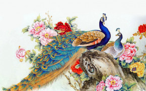 Peacock Best Wallpaper 28133