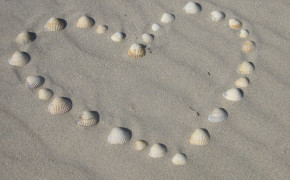 Seashells Heart Wallpaper 27585