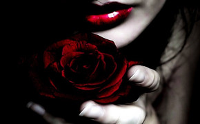 Red Lips Rose Background Wallpaper 28453