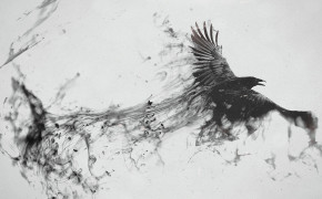 Raven Bird Flying White Abstract Wallpaper 28546