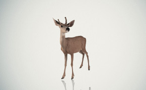 Deer Desktop HD Wallpaper 29101