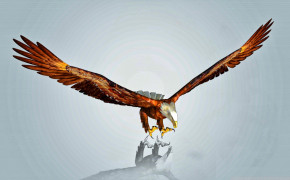 Eagle Art Background Wallpapers 29158