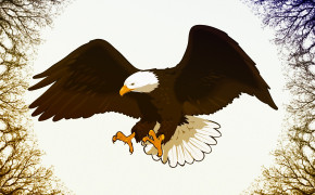 Eagle Art High Definition Wallpapers 29163