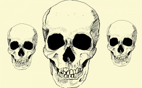 Skull Art Desktop HD Wallpaper 29291