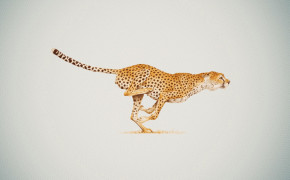 Cheetah High Definition Wallpapers 29035