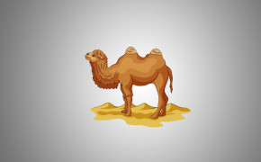 Camel Background HQ Wallpapers 29009