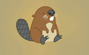 Beaver Background HD Wallpapers 28977
