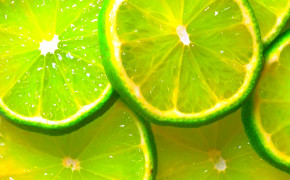 Lime High Quality Wallpapers 02784