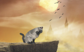 Cat Background HD Wallpapers 29018