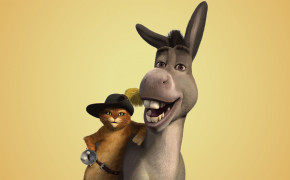 Donkey Wallpapers HQ 29140