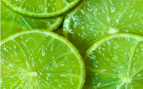 Lime New Wallpapers 02787