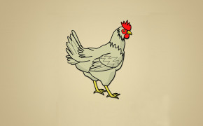 Chicken Background HD Wallpaper 29038