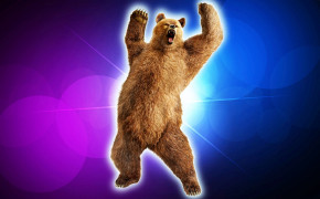 Bear Background HQ Wallpapers 28968