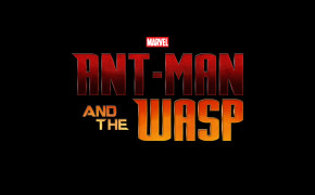 Ant Man And The Wasp Desktop Wallpaper 29435