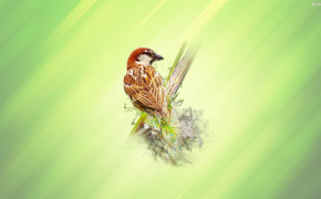 Sparrow Wallpaper 29939