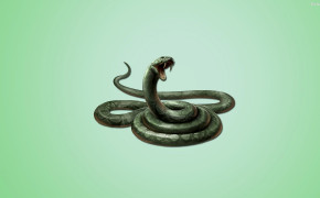 Snake Desktop Wallpaper 29924