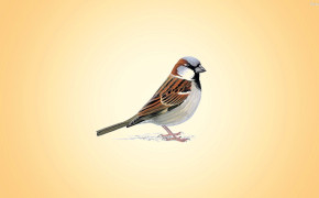 Sparrow High Definition Wallpaper 29938