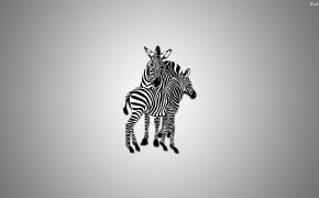 Zebra High Definition Wallpaper 30007