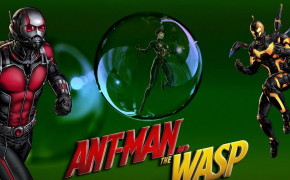 Ant Man And The Wasp HD Wallpaper 29437