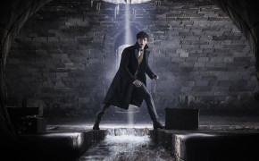 Fantastic Beasts The Crimes of Grindelwald HD Wallpapers 29468
