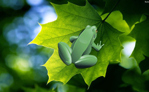 Frog HD Wallpaper 29795