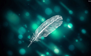 Feather Background Wallpaper 29750