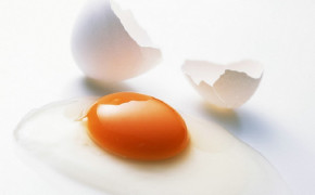 Egg Photography Wallpaper 02940