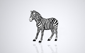Zebra Background Wallpaper 30003