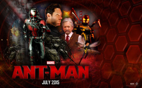Ant Man And The Wasp Wallpaper 29440