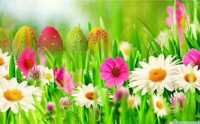 Easter Eggs Widescreen Wallpapers 29721