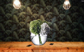 Vase HD Wallpaper 29980