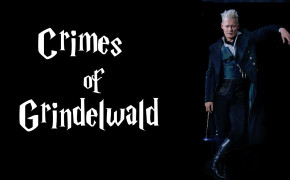 Fantastic Beasts The Crimes of Grindelwald Wallpaper HD 29471