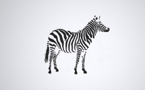 Zebra Desktop Wallpaper 30005