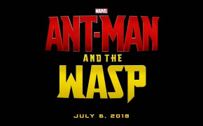 Ant Man And The Wasp Widescreen Wallpapers 29441