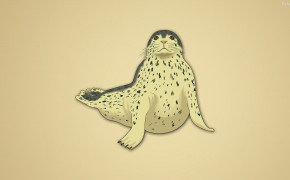 Harbor Seal Desktop Wallpaper 30478