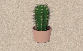 Cactus HD Desktop Wallpaper 30184