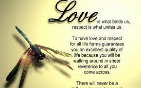 Amazing Love Quotes Wallpaper 00179