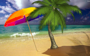 Palm Tree HD Wallpapers 30810