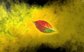 Autumn HD Wallpapers 30162