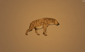 Hyena Wallpaper 30549