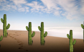 Cactus HQ Desktop Wallpaper 30188