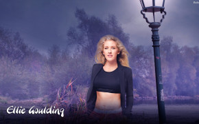 Ellie Goulding Background Wallpaper 30352