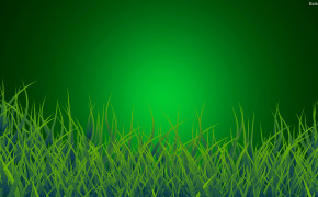 Grass High Definition Wallpaper 30442