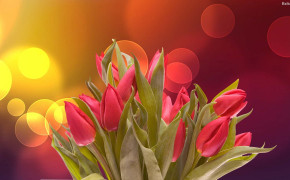 Flower Bouquet Background Wallpapers 30381