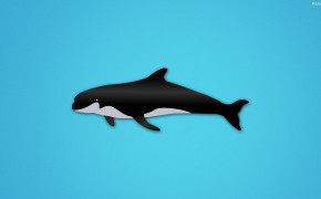 Whale Background Wallpapers 32053