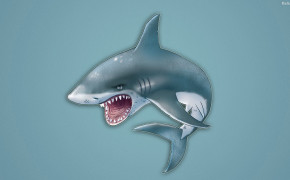 Shark Background Wallpaper 31836