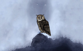 Owl Background Wallpaper 31628